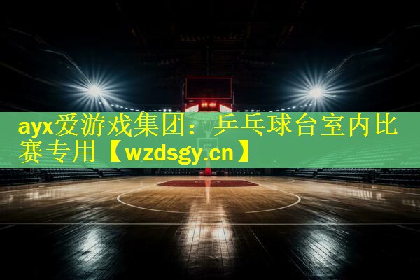 ayx爱游戏集团：乒乓球台室内比赛专用