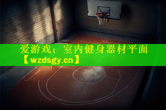 爱游戏：室内健身器材平面