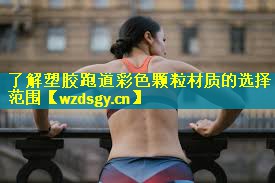 <strong>了解塑胶跑道彩色颗粒材质的选择范围</strong>