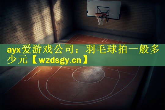 羽毛球拍一般多少元